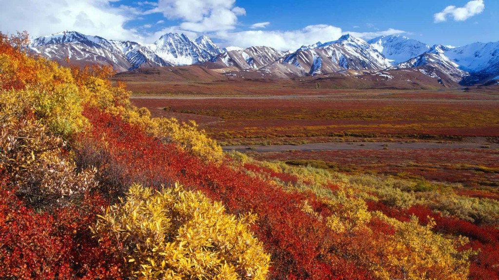 Alaska Range, Denali National Park, Alaska