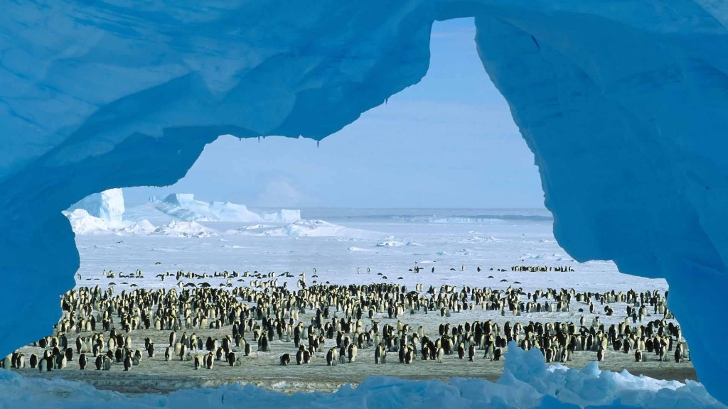 Atka Bay, Weddell Sea, Antarctica