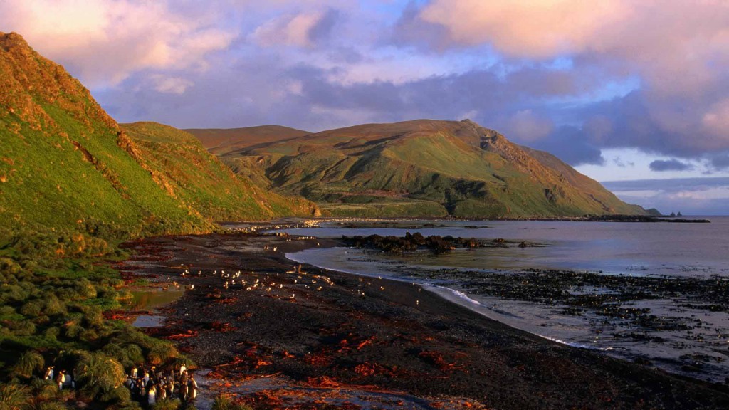 Sandy Bay at Dawn, Macquarie Island, Antarctica