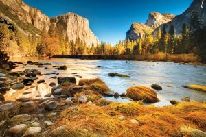 History of Yosemite National Park