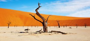 Namibia Info