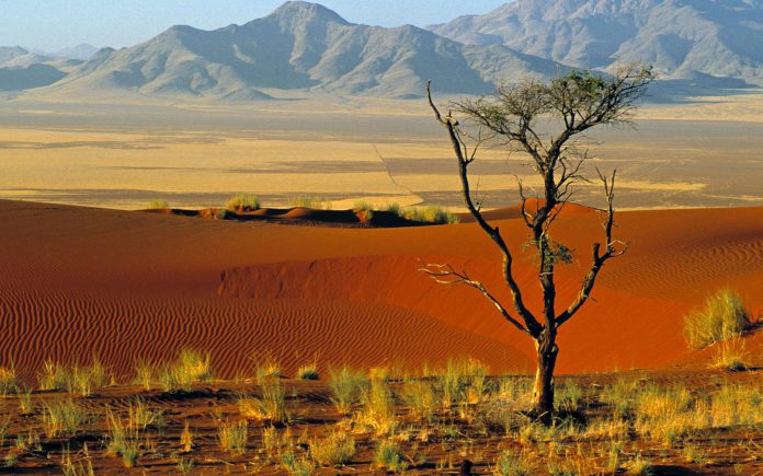 Namibia Info