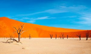 Namibia Info